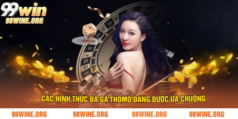Các hình thức đá gà Thomo đang được ưa chuộng